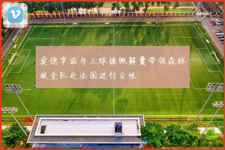 爱德华兹与三球慷慨解囊带领森林狼全队赴法国进行合练